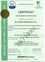 management al calitatii